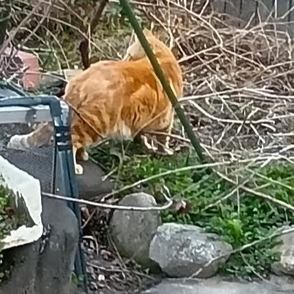 脊髄神経の乱れから起こる珍しい症状5