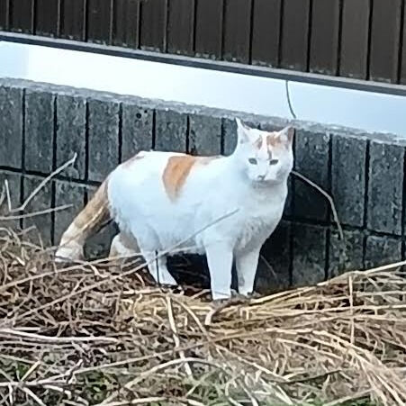 脊髄神経の乱れから起こる珍しい症状７
