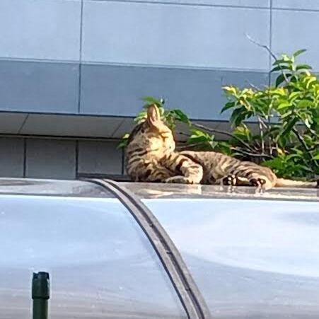 病気の連鎖（負の連鎖）が起きていた事例6