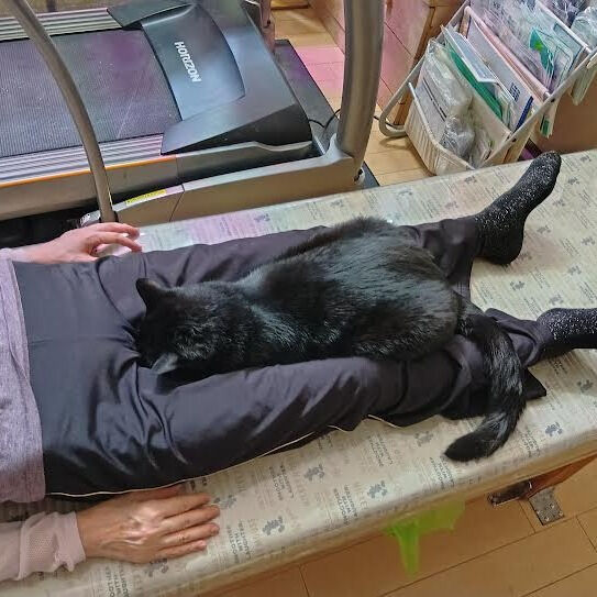 花粉症　