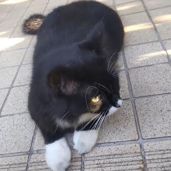 断った事例・・・２
