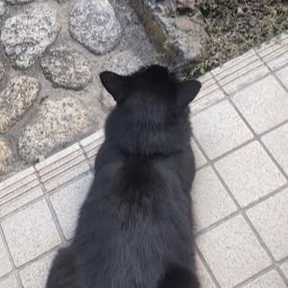 事故の後遺症で来られたのだが別の大問題が発覚