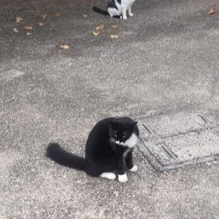 断った事例・・・３