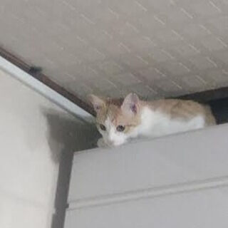 1年以上に渡る腱鞘炎