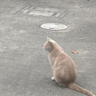 患者さんからの質問メール