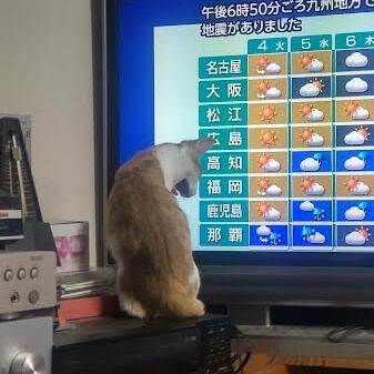 仕事に支障が出る更年期障害