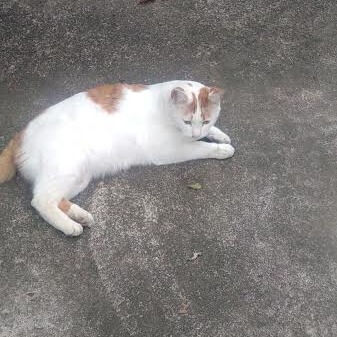 治らない足の痛みと痺れ